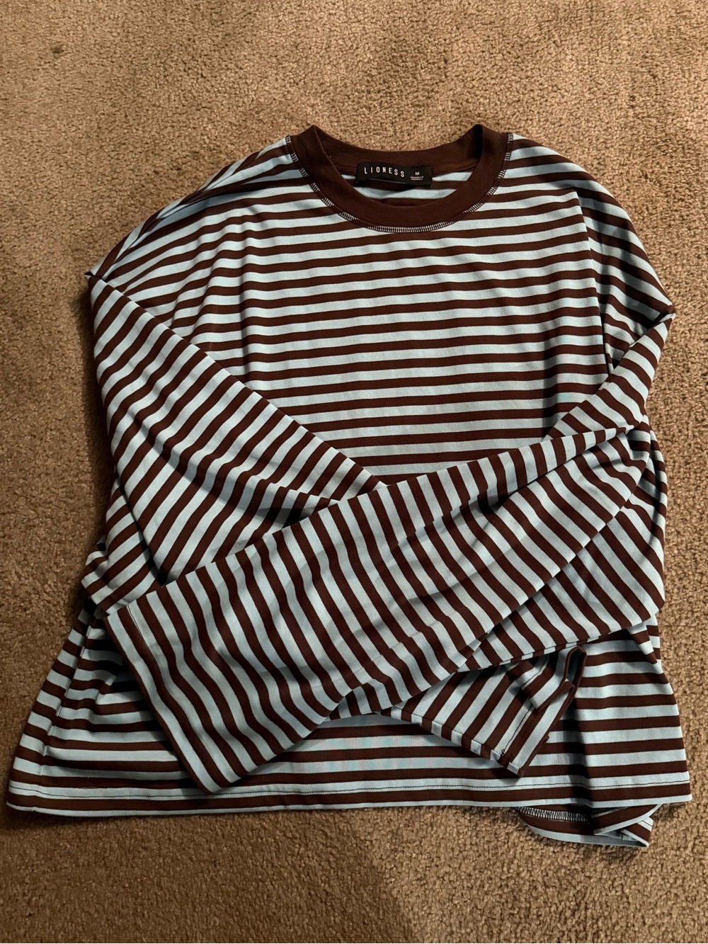 Lioness Brown & blue Striped Long Sleeve Crew Tee